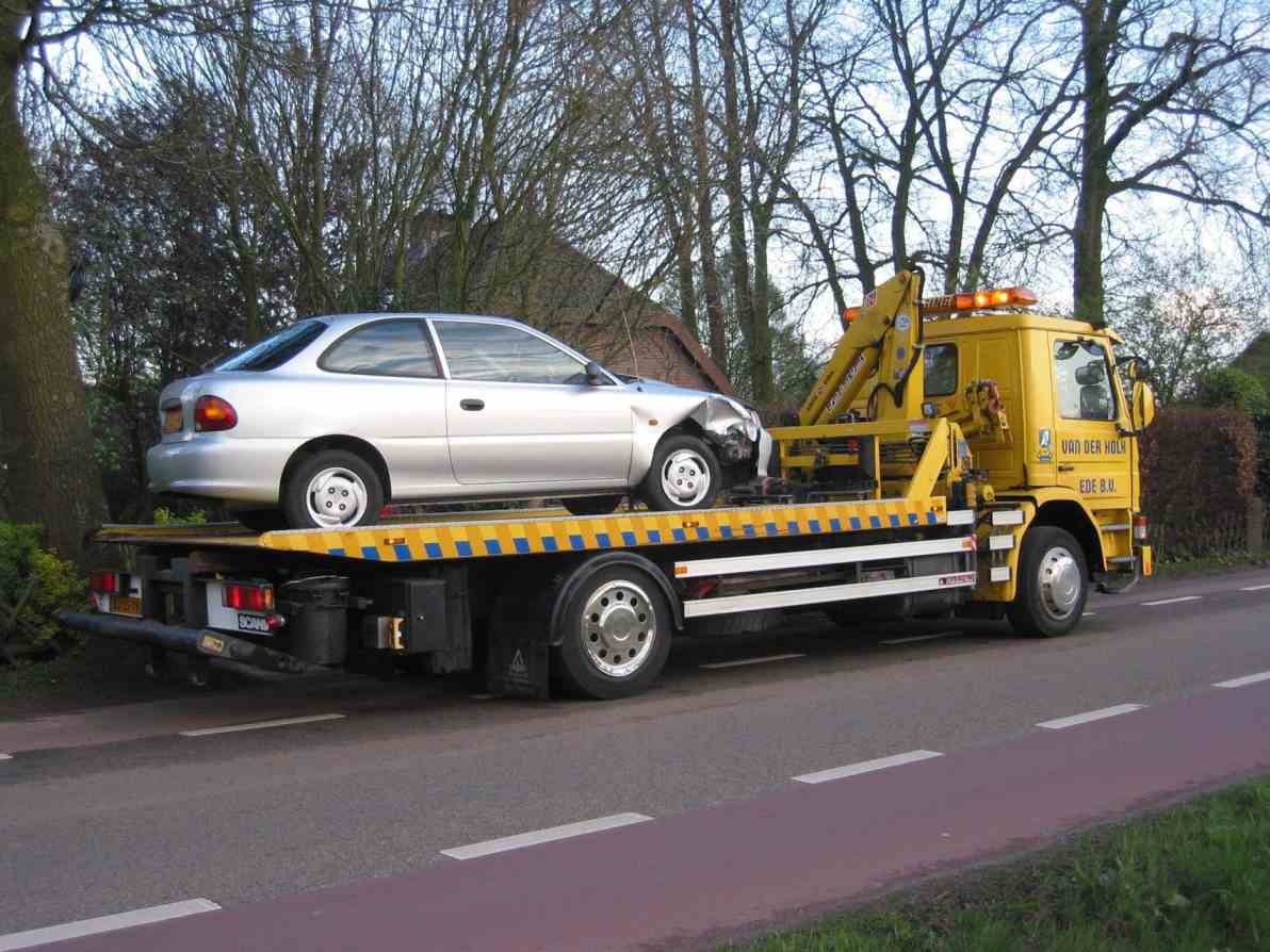 fellow towing garland